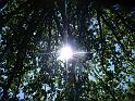 07-08-2010 12h44 28